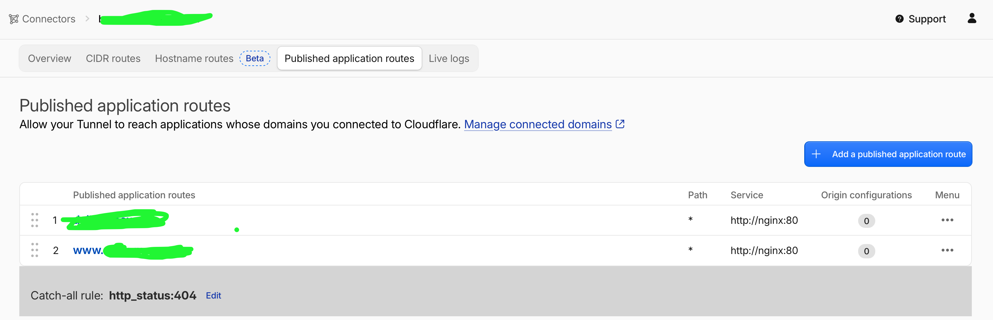 Cloudflare Tunnel setup screen